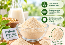 Proteose Peptone, Soy Peptone hay Yeast Peptone: Lựa chọn nào phù hợp cho môi trường nuôi cấy?