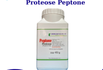 Protease Là Gì? Có 7 Sự Thật Về Enzyme Protease Bạn Nên Biết