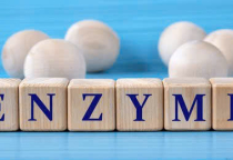 Cách Bổ Sung Enzyme Trong Chăn Nuôi Hiệu Quả