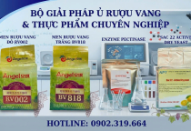 BÍ QUYẾT LÀM CHỦ NGHỆ THUẬT LÊN MEN RƯỢU VANG TRÁI CÂY TRÚNG ĐÍCH – 8 BƯỚC VÀNG TẠO NÊN SỰ KHÁC BIỆT