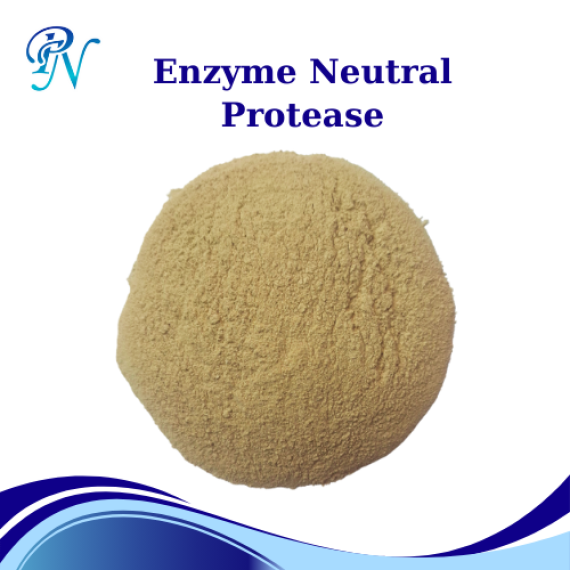 Enzyme Neutral Protease Nguyên Liệu – Dùng Cho Thức Ăn Chăn Nuôi, Thủy Sản – Dạng Bột – Bao 20KG