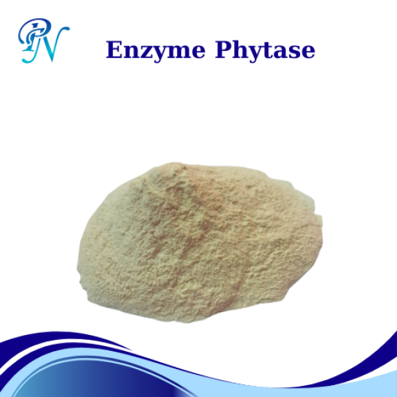 Enzyme Phytase Nguyên Liệu – Dùng Cho Thức Ăn Chăn Nuôi, Thủy Sản – Xử Lý Ao - Dạng Bột – Bao 25kg