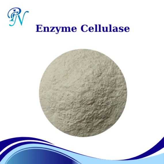 Enzyme Cellulase Nguyên Liệu – Dùng Cho Thức Ăn Chăn Nuôi, Thủy Sản – Xử Lý Ao - Dạng Bột – Bao 20kg