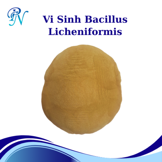 Vi Sinh Bacillus Licheniformis Nguyên Liệu Dùng Trong Thức Ăn Chăn Nuôi - Thủy Sản, Xử Lý Đáy Ao Bao 25k