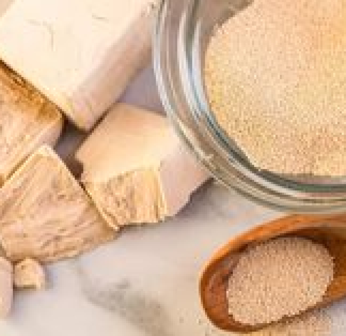 Seasoned Yeast Extract FB00 là gì? Công dụng ra sao? Hãy cùng tìm hiểu về gia vị chiết xuất nấm men