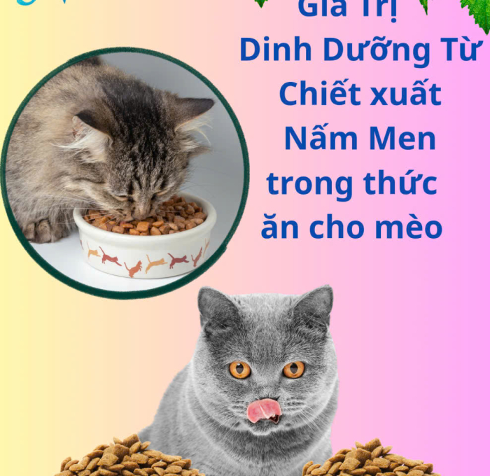 Khám phá 7 lợi ích của YEAST EXTRACT trong dinh dưỡng dành cho mèo
