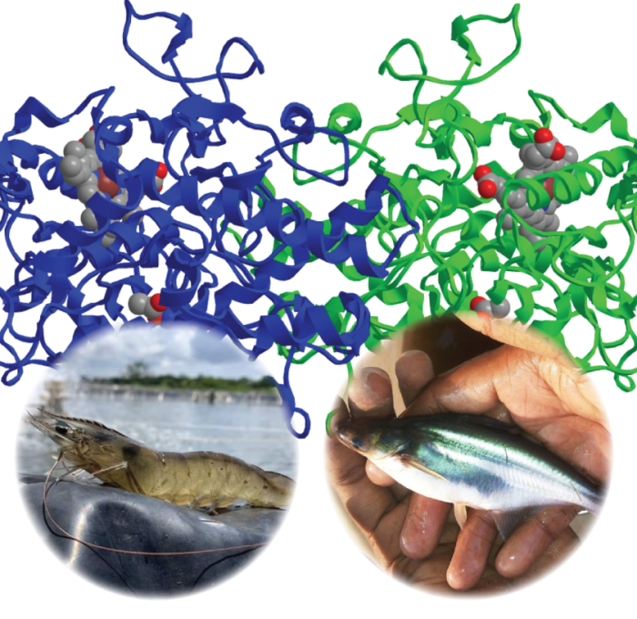 Tầm quan trọng của enzyme đối với nuôi trồng cá