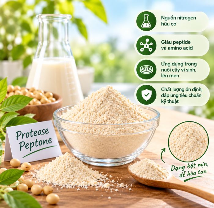 Proteose Peptone, Soy Peptone hay Yeast Peptone: Lựa chọn nào phù hợp cho môi trường nuôi cấy?