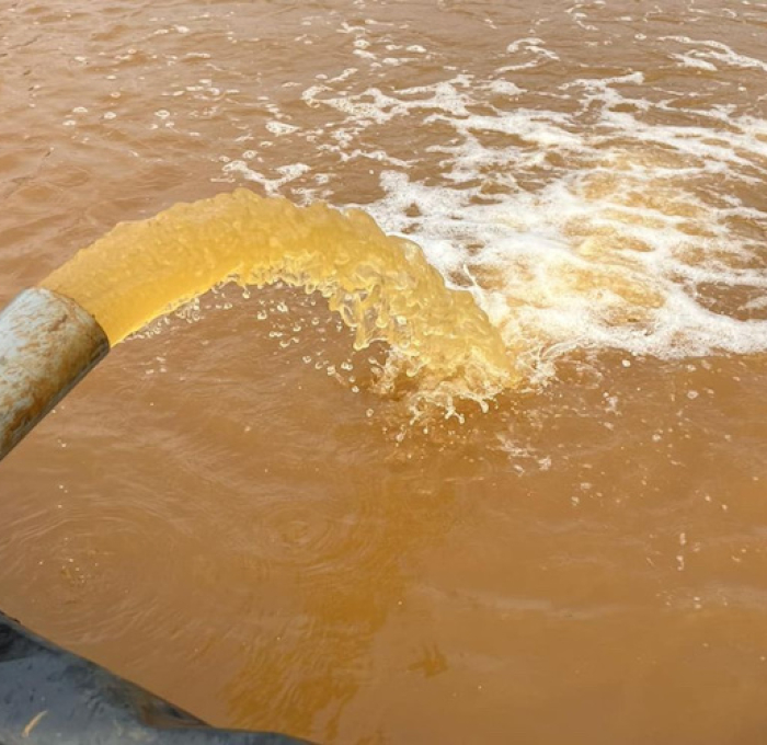 Xử Lý Phèn trong Ao Nuôi Tôm: Biện Pháp Phòng Tránh và Ứng Phó