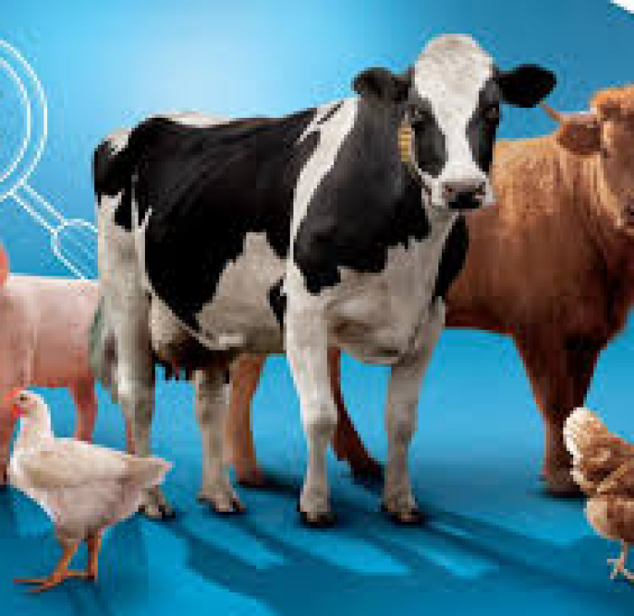 VAI TRÒ CỦA ENZYME TRONG DINH DƯỠNG VẬT NUÔI