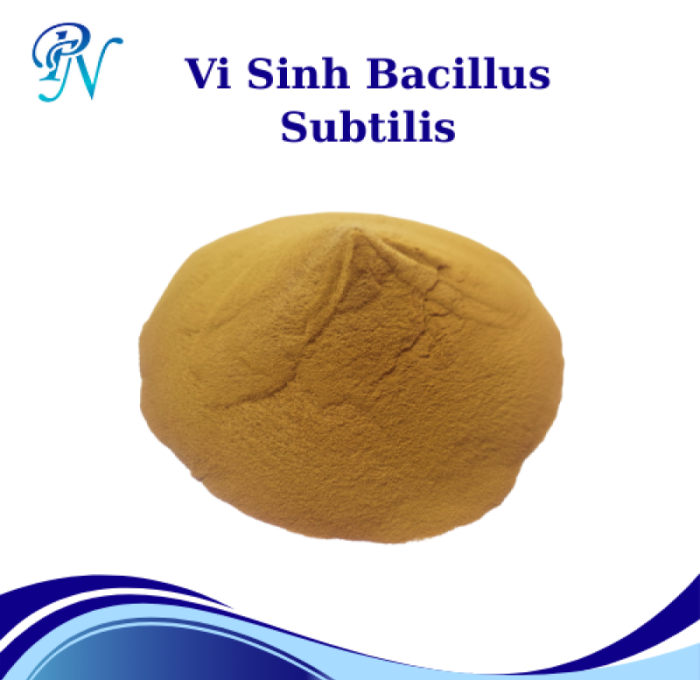 Giải Pháp Tối Ưu Cho Chăn Nuôi Hiện Đại - Men Vi Sinh Bacillus Subtilis