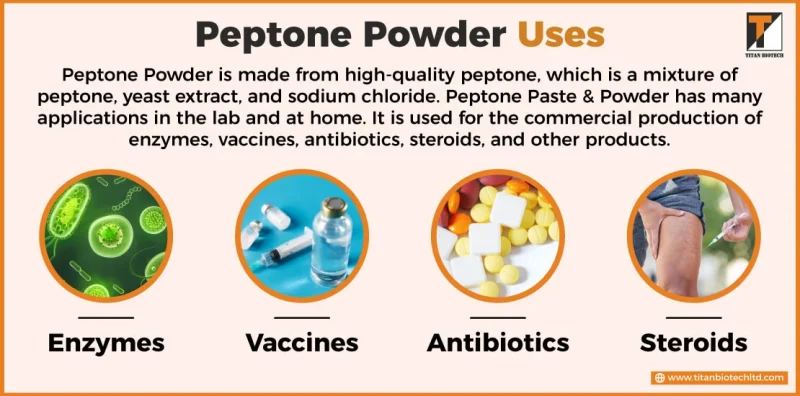 Ứng Dụng Peptone Trong Đời Sống Và Sản Xuất