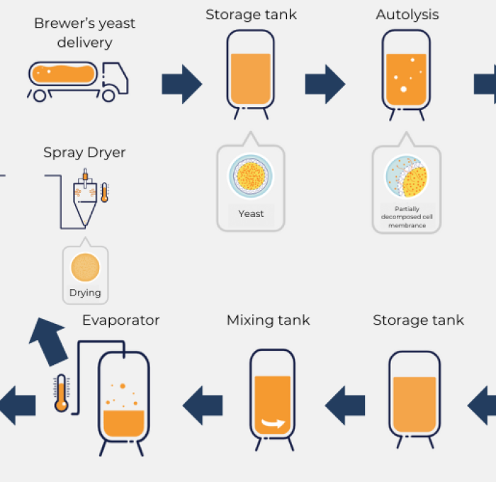 QUY TRÌNH SẢN XUẤT CHIẾT XUẤT NẤM MEN GIA VỊ