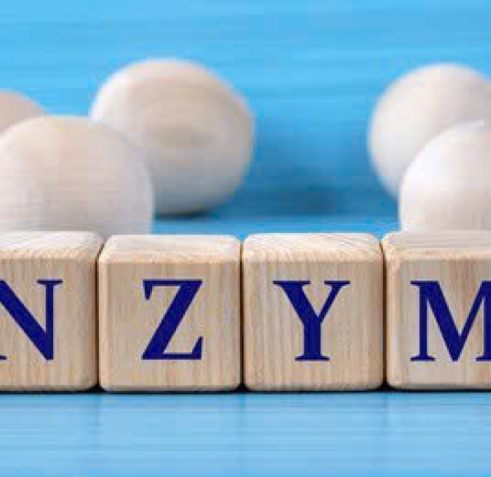 Cách Bổ Sung Enzyme Trong Chăn Nuôi Hiệu Quả