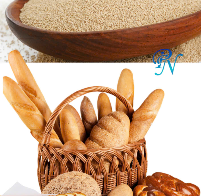 Nấm Men Làm Bánh Mì Thành Phần Và Ứng Dụng Trong Thực Phẩm
