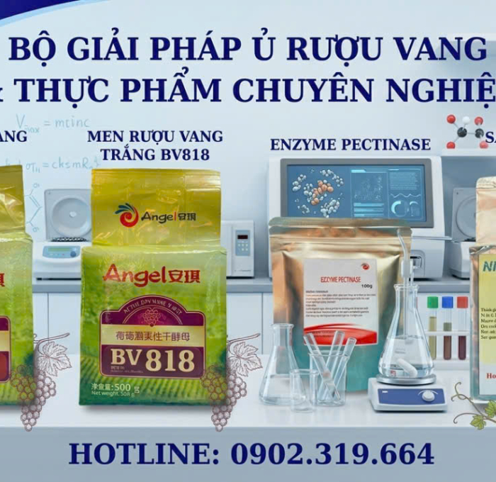BÍ QUYẾT LÀM CHỦ NGHỆ THUẬT LÊN MEN RƯỢU VANG TRÁI CÂY TRÚNG ĐÍCH – 8 BƯỚC VÀNG TẠO NÊN SỰ KHÁC BIỆT