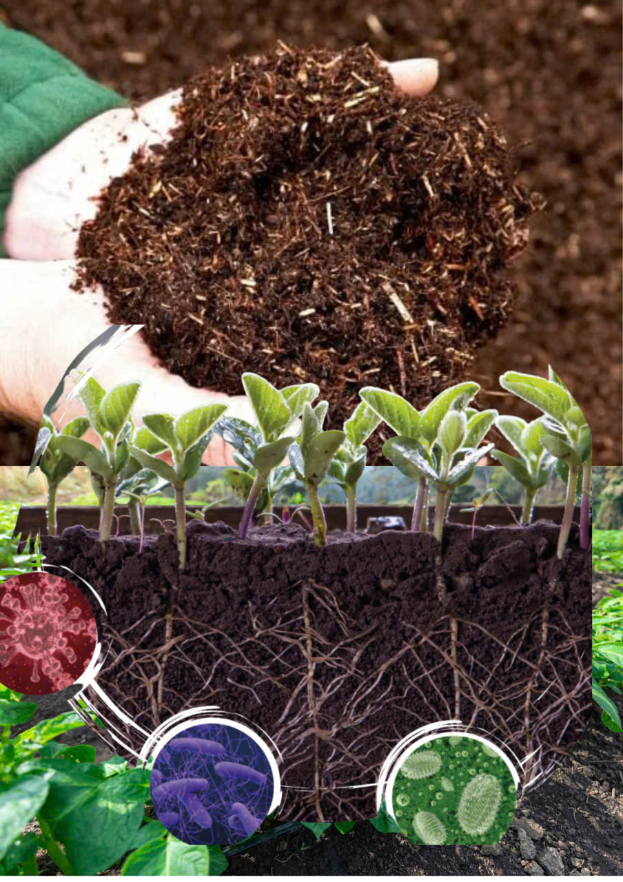 Men Vi Sinh Ủ Đất Giải Pháp Sinh Học Cho Nông Nghiệp