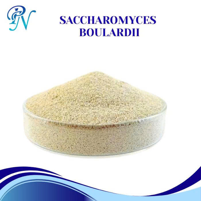 SACHAROMYCESS BOULARDII _ NẤM MEN PROBIOTIC ĐƠN DÒNG – HỔ TRỢ ĐIỀU TRỊ BỆNH TIÊU CHẢY